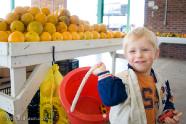 Trey shops for oranges at Branner Produce