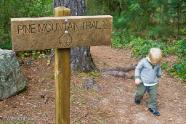 Pine Mountain Trail