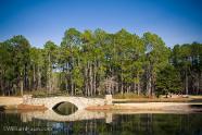 A bridge over a pond on the golf course
