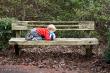 Playing on a cool mossy bench