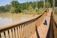 Crossing the bridge over the alligator pond
